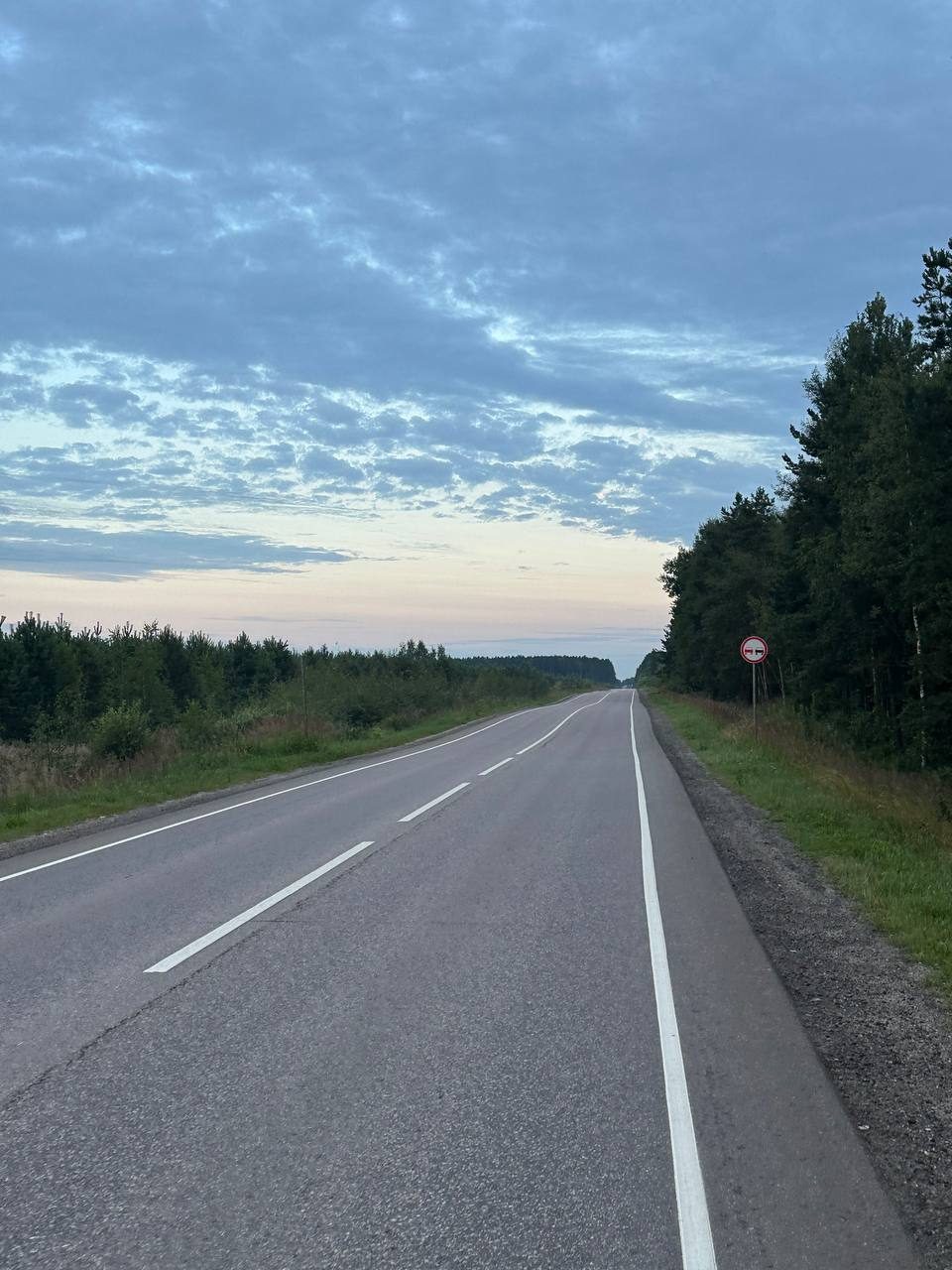 Forest road