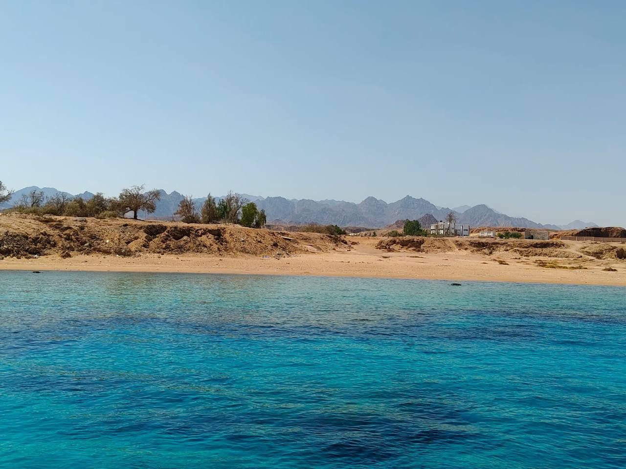 Red Sea